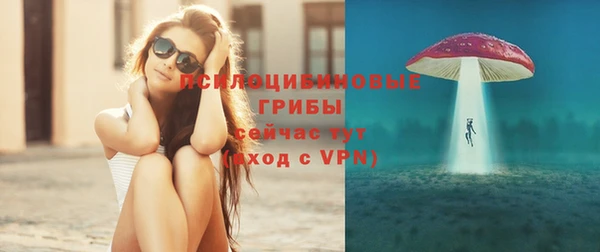 ГАЛЛЮЦИНОГЕННЫЕ ГРИБЫ Балахна