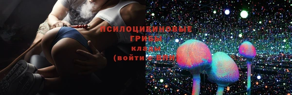 ГАЛЛЮЦИНОГЕННЫЕ ГРИБЫ Балахна