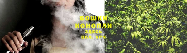 ГАЛЛЮЦИНОГЕННЫЕ ГРИБЫ Балахна