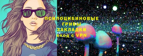 ГАЛЛЮЦИНОГЕННЫЕ ГРИБЫ Балахна